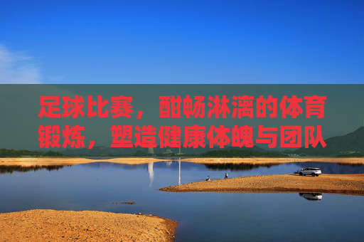 足球比赛，酣畅淋漓的体育锻炼，塑造健康体魄与团队精神，足球赛场燃激情，酣畅淋漓的锻炼，塑造健康体魄与团队精神