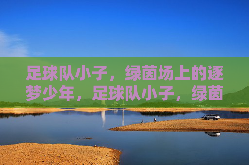 足球队小子,绿茵场上的逐梦少年,足球队小子,绿茵场上的逐梦少年