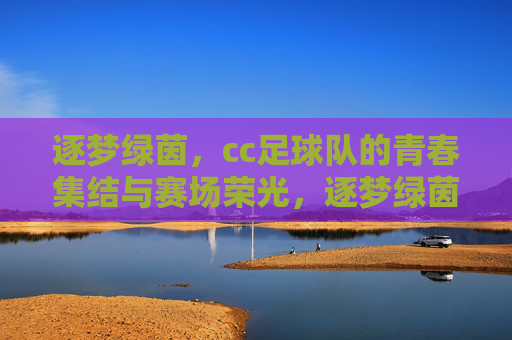 逐梦绿茵，cc足球队的青春集结与赛场荣光，逐梦绿茵，cc足球队的青春集结与赛场荣光