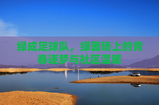 绿成足球队,绿茵场上的青春逐梦与社区温暖