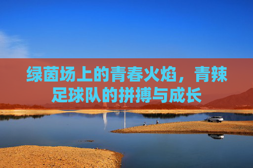 绿茵场上的青春火焰,青辣足球队的拼搏与成长