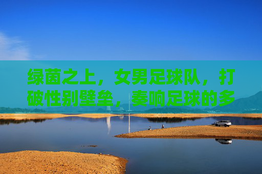 绿茵之上,女男足球队,打破性别壁垒,奏响足球的多元乐章