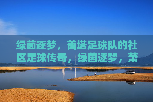绿茵逐梦,萧塔足球队的社区足球传奇,绿茵逐梦,萧塔足球队的社区足球传奇