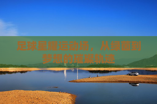 足球星耀运动场，从绿茵到梦想的璀璨轨迹