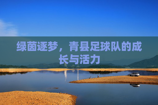 绿茵逐梦,青县足球队的成长与活力