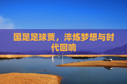 国足足球贾,淬炼梦想与时代回响