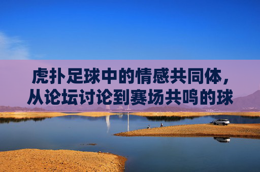 虎扑足球中的情感共同体,从论坛讨论到赛场共鸣的球迷文化