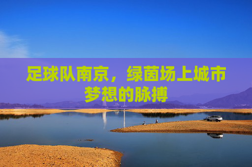 足球队南京，绿茵场上城市梦想的脉搏