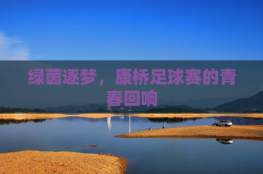 绿茵逐梦,康桥足球赛的青春回响