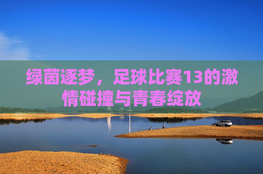 绿茵逐梦,足球比赛13的激情碰撞与青春绽放