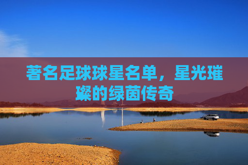 著名足球球星名单，星光璀璨的绿茵传奇
