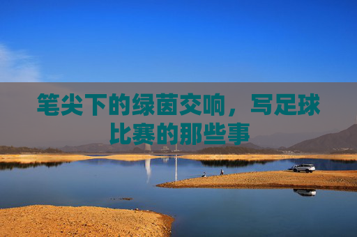 笔尖下的绿茵交响,写足球比赛的那些事