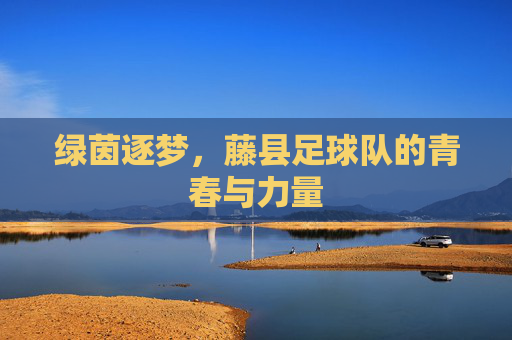 绿茵逐梦,藤县足球队的青春与力量