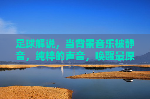 足球解说，当背景音乐被静音，纯粹的声音，唤醒最原始的激情与共鸣