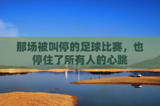 那场被叫停的足球比赛，也停住了所有人的心跳