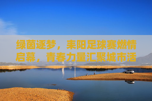 绿茵逐梦，耒阳足球赛燃情启幕，青春力量汇聚城市活力