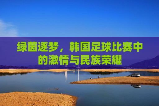 绿茵逐梦,韩国足球比赛中的激情与民族荣耀
