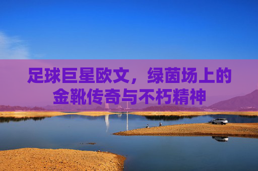 足球巨星欧文,绿茵场上的金靴传奇与不朽精神