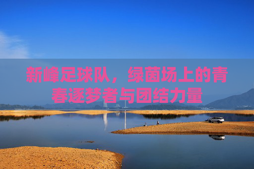 新峰足球队,绿茵场上的青春逐梦者与团结力量