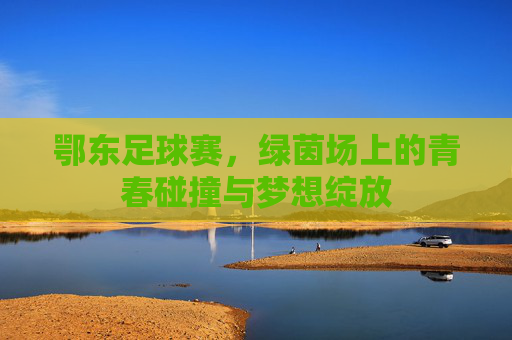 鄂东足球赛，绿茵场上的青春碰撞与梦想绽放