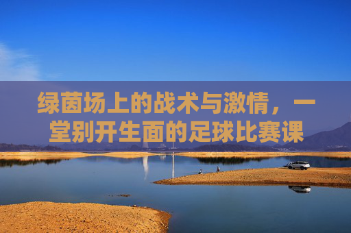绿茵场上的战术与激情,一堂别开生面的足球比赛课