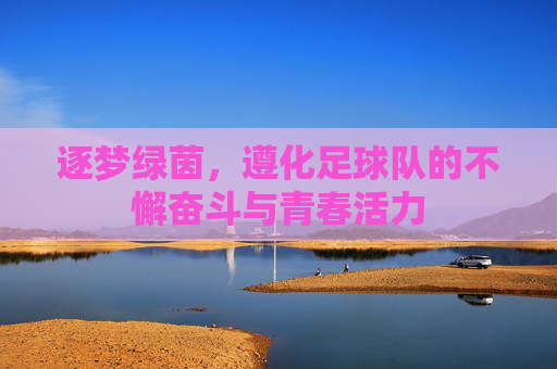 逐梦绿茵,遵化足球队的不懈奋斗与青春活力