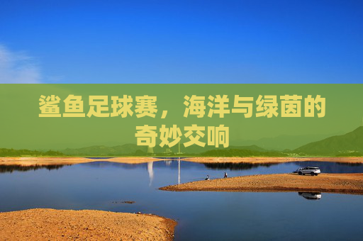 鲨鱼足球赛，海洋与绿茵的奇妙交响