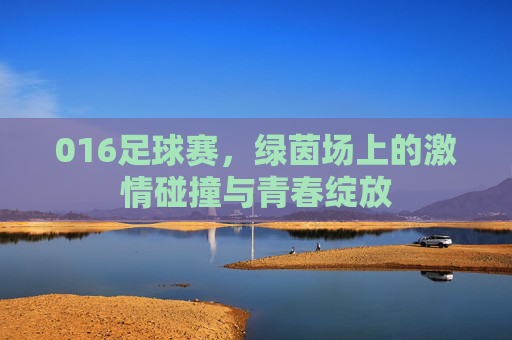 016足球赛，绿茵场上的激情碰撞与青春绽放