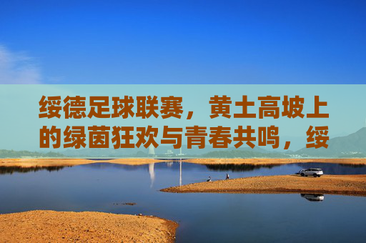 绥德足球联赛,黄土高坡上的绿茵狂欢与青春共鸣,绥德足球联赛,黄土高坡上的绿茵狂欢与青春共鸣