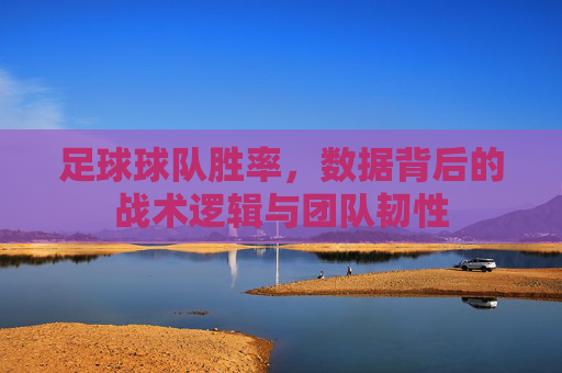 足球球队胜率,数据背后的战术逻辑与团队韧性