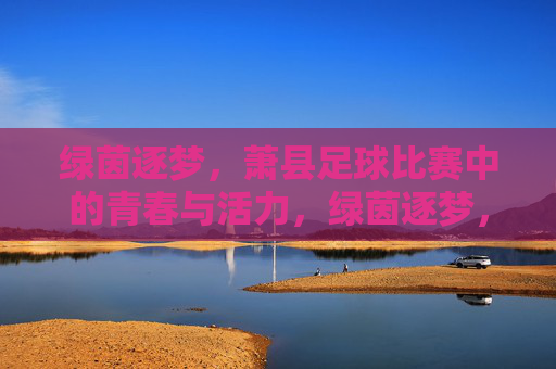 绿茵逐梦,萧县足球比赛中的青春与活力,绿茵逐梦,萧县足球比赛中的青春与活力