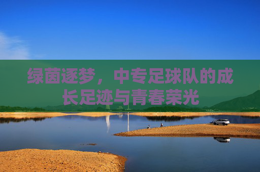 绿茵逐梦,中专足球队的成长足迹与青春荣光