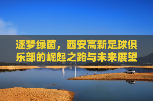 逐梦绿茵,西安高新足球俱乐部的崛起之路与未来展望,逐梦绿茵,西安高新足球俱乐部的崛起之路与未来展望
