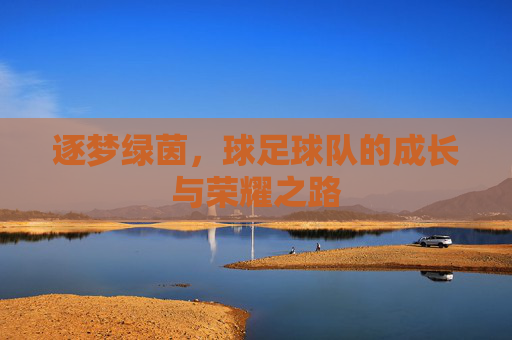 逐梦绿茵,球足球队的成长与荣耀之路