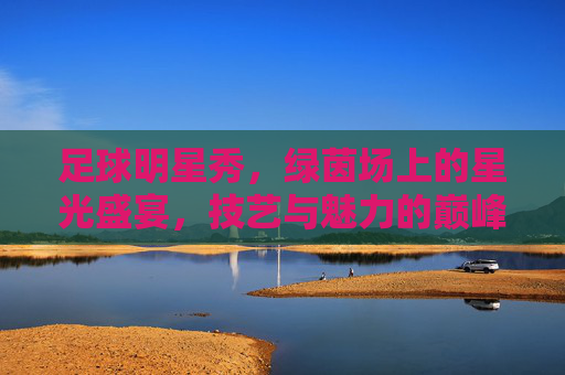 足球明星秀,绿茵场上的星光盛宴,技艺与魅力的巅峰碰撞