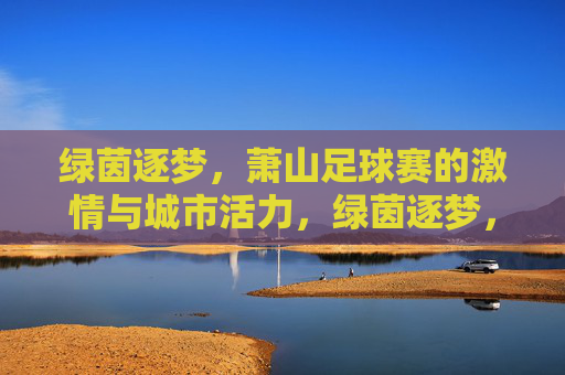 绿茵逐梦，萧山足球赛的激情与城市活力，绿茵逐梦，萧山足球赛的激情与城市活力