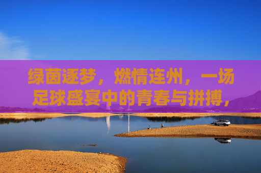 绿茵逐梦,燃情连州,一场足球盛宴中的青春与拼搏,绿茵逐梦,燃情连州,一场足球盛宴中的青春与拼搏