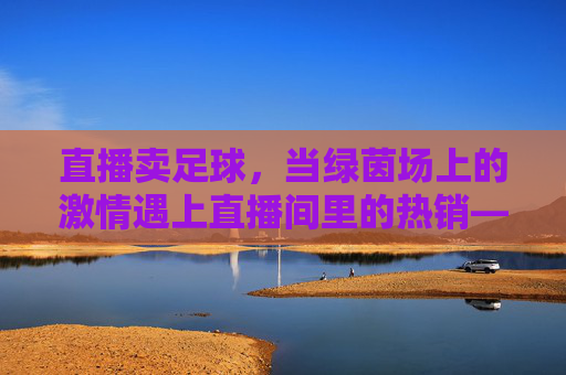 直播卖足球,当绿茵场上的激情遇上直播间里的热销——揭秘足球商品直播的崛起与机遇,直播卖足球,当绿茵场上的激情遇上直播间里的热销——揭秘足球商品直播的崛起与机遇