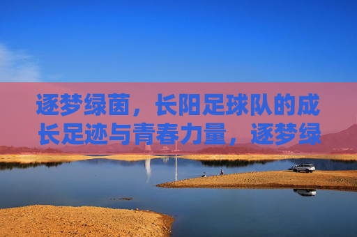 逐梦绿茵,长阳足球队的成长足迹与青春力量,逐梦绿茵,长阳足球队的成长足迹与青春力量