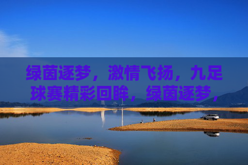 绿茵逐梦，激情飞扬，九足球赛精彩回眸，绿茵逐梦，激情飞扬，九足球赛精彩回眸