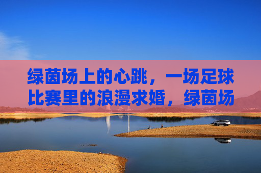 绿茵场上的心跳,一场足球比赛里的浪漫求婚,绿茵场上的心跳,一场足球比赛里的浪漫求婚