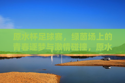 原水杯足球赛,绿茵场上的青春逐梦与激情碰撞,原水杯足球赛,绿茵场上的青春逐梦与激情碰撞