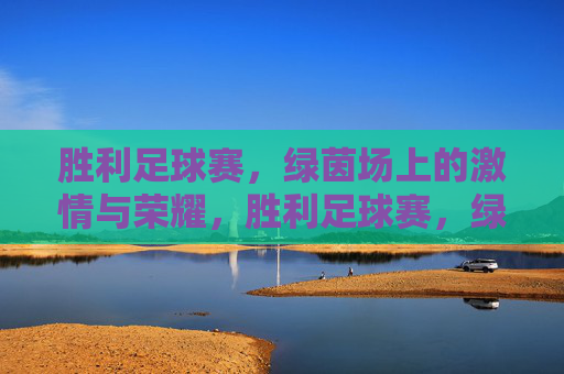 胜利足球赛,绿茵场上的激情与荣耀,胜利足球赛,绿茵场上的激情与荣耀