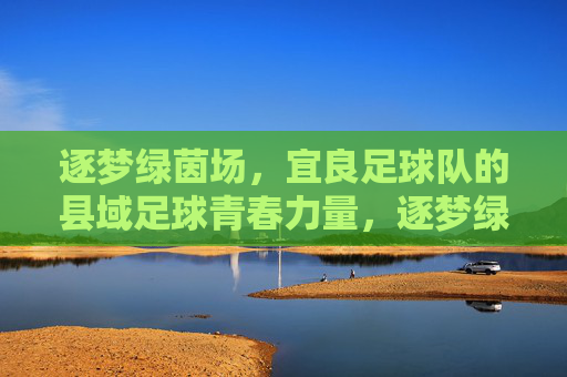 逐梦绿茵场,宜良足球队的县域足球青春力量,逐梦绿茵场,宜良足球队的县域足球青春力量