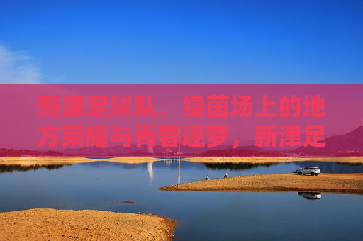 新津足球队,绿茵场上的地方荣耀与青春逐梦,新津足球队,绿茵场上的地方荣耀与青春逐梦