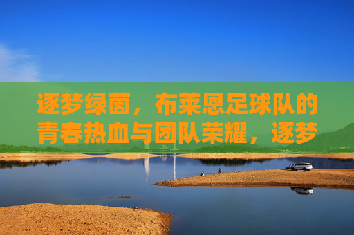 逐梦绿茵，布莱恩足球队的青春热血与团队荣耀，逐梦绿茵，布莱恩足球队的青春热血与团队荣耀