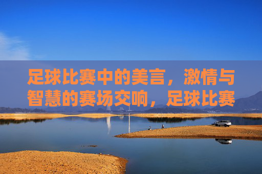 足球比赛中的美言,激情与智慧的赛场交响,足球比赛中的美言,激情与智慧的赛场交响