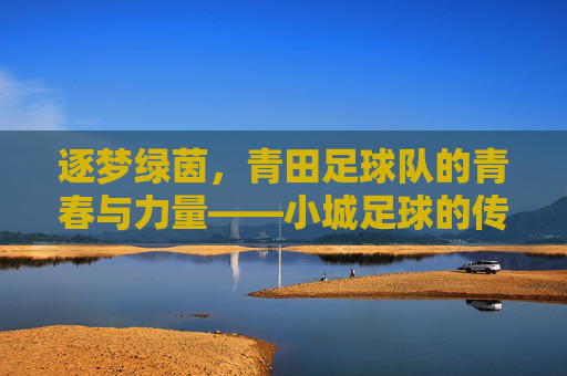逐梦绿茵，青田足球队的青春与力量——小城足球的传承与绽放，逐梦绿茵，青田足球队的青春与力量——小城足球的传承与绽放