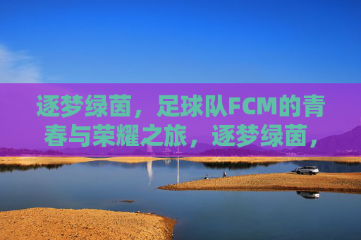 逐梦绿茵,足球队FCM的青春与荣耀之旅,逐梦绿茵,足球队FCM的青春与荣耀之旅