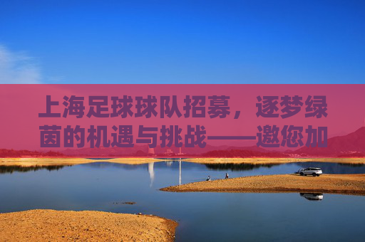 上海足球球队招募,逐梦绿茵的机遇与挑战——邀您加入城市足坛新篇章,上海足球球队招募,逐梦绿茵的机遇与挑战——邀您共谱城市足坛新篇章